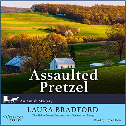 Assaulted Pretzel cover art