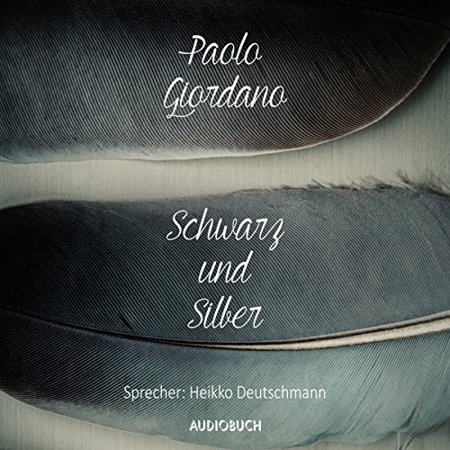 Schwarz und Silber cover art