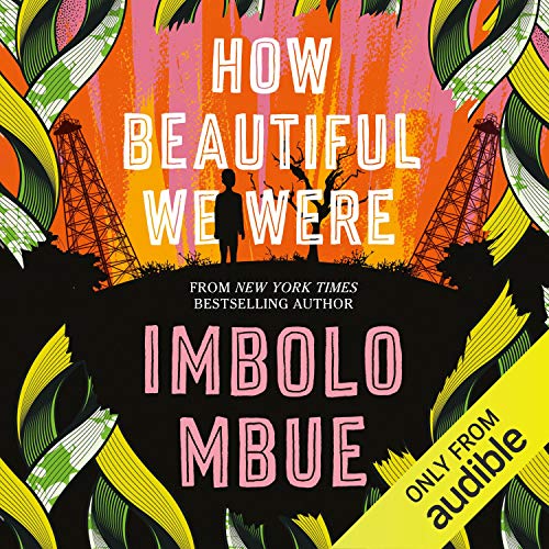 Couverture de How Beautiful We Were