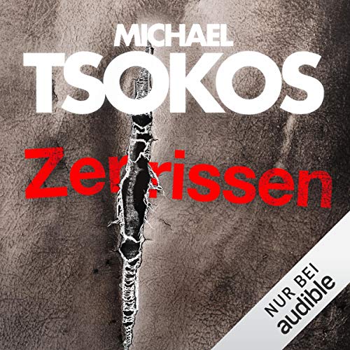 Zerrissen cover art