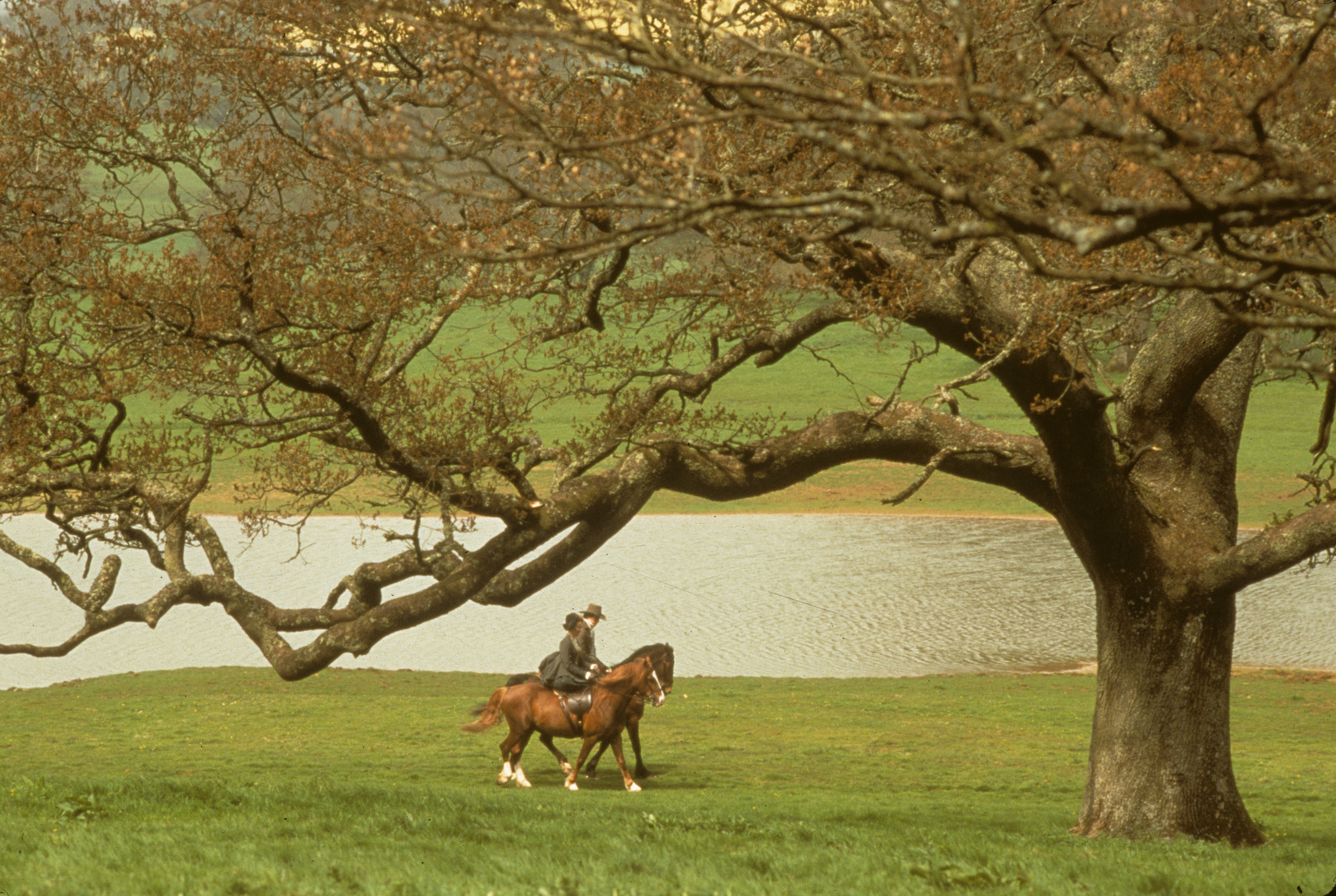 Hugh Grant and Emma Thompson in Sense and Sensibility (1995)