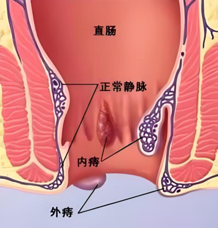 图文图片