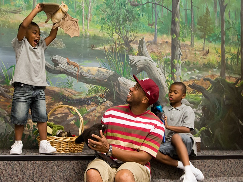 Black boy playing with a plush bat toy in the Discovery Room while his dad looks on.