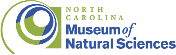 green and blue logo for the North Carolina Museum of Natural Sciences