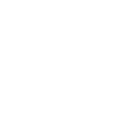 BYD logo