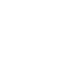 Boss logo