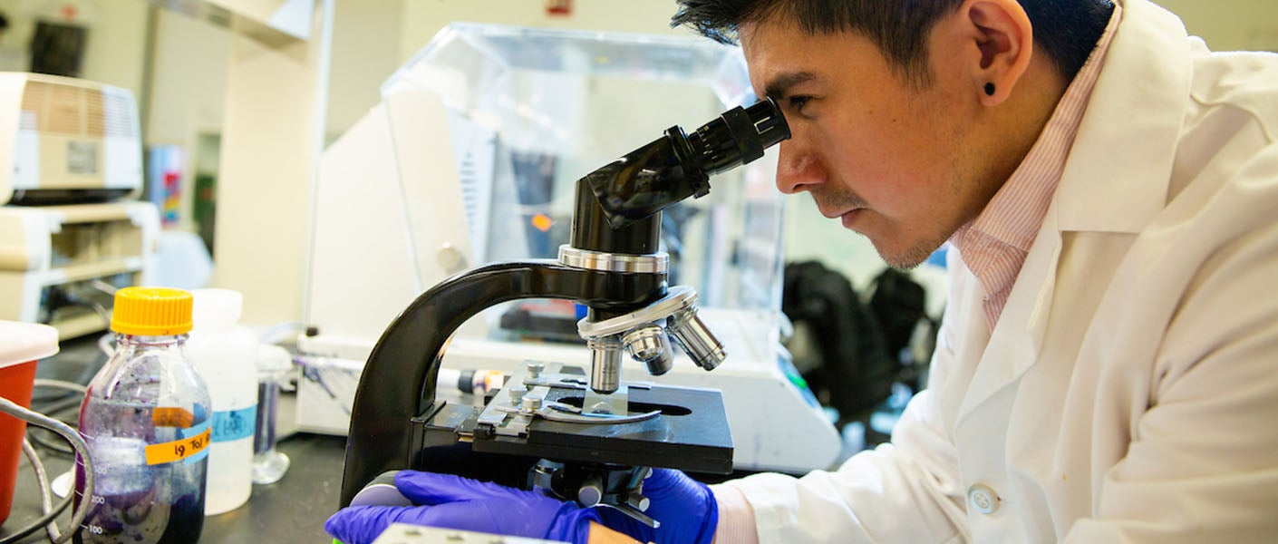 IPN student looking through a microscope