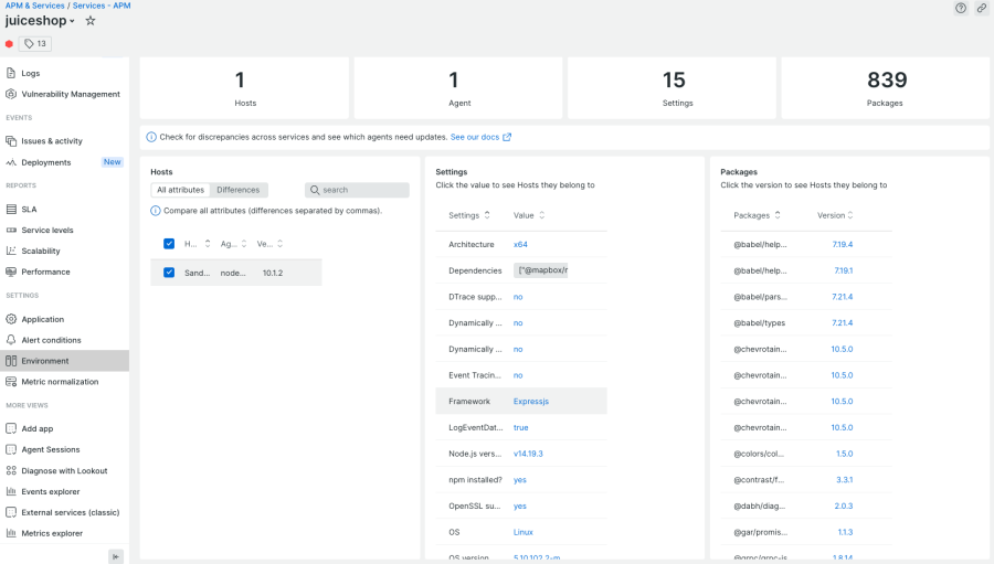 The Environment page of an application in New Relic shows libraries the application is dependent on. 