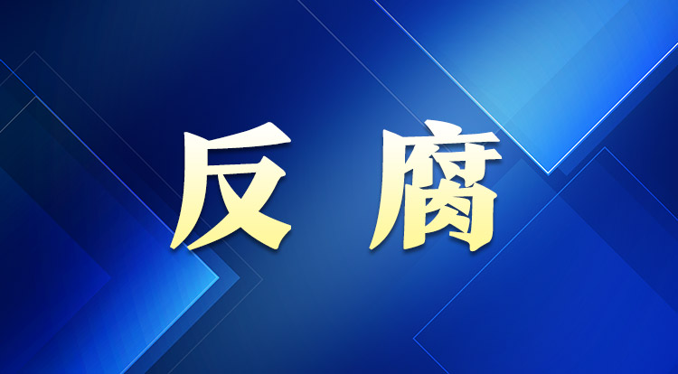 2024年全国查处违反中央八项规定精神问题225275起