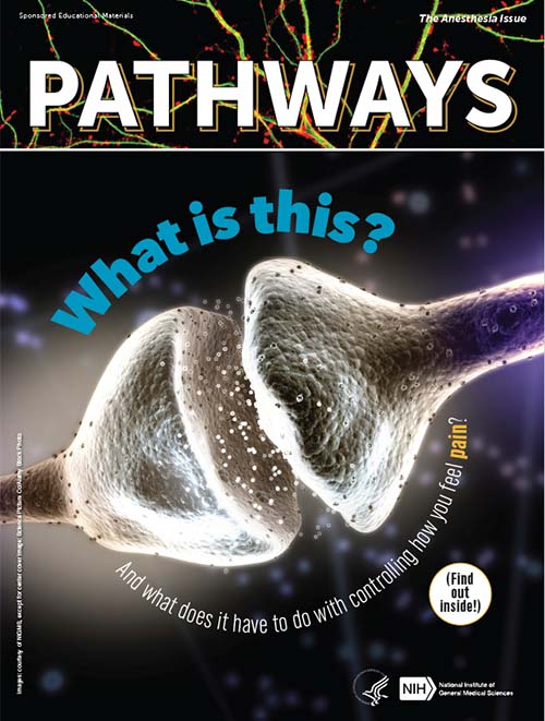 Pathways The Brain and Anesthesia Issue Cover