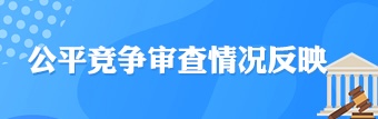 公平竞争审查情况反映