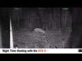 ATN X-Sight 5 Night Time Hunting