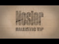 Nosler Ballistic Tips