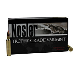 Image of Nosler 22 55gr Ballistic Tip /20 60015