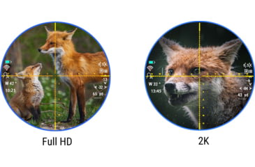 Image of PARD Optics DS35 Day and Night Vision Rifle Scope, Laser Rangefinder, 4x50mm, 850nm IR, 2560x1440 px, Multiple Reticles, Black, DS35-50RF-850