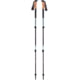 Black Diamond Trail Cork Trekking Poles - Women's, Alpine Lake, One Size, BD1125273000ALL1