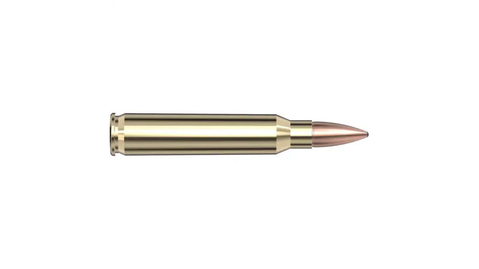 Hornady Frontier 5.56x45mm NATO 55 grain Full Metal Jacket Brass Cased Centerfire Rifle Ammo, 500 Round