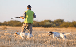 Learning To Hunt On Your Own