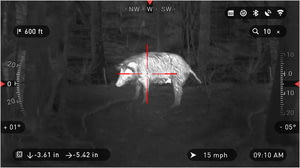 Wild Hog Shown in White Hot Thermal Palette