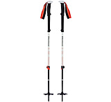 Image of Black Diamond Expedition 2 Ski Poles