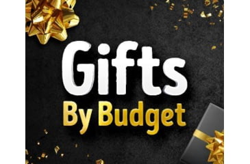 Image of Holiday Gift Guide by the Numbers