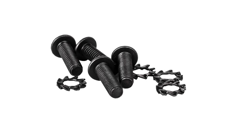 CANik SFX Rear Sight Base Screws 2Pack, Black, PACN0125