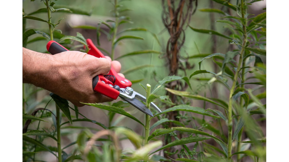 EZ Kut Kamikaze Force Pruner, Red/Black, Small, 8.26 in, 10930