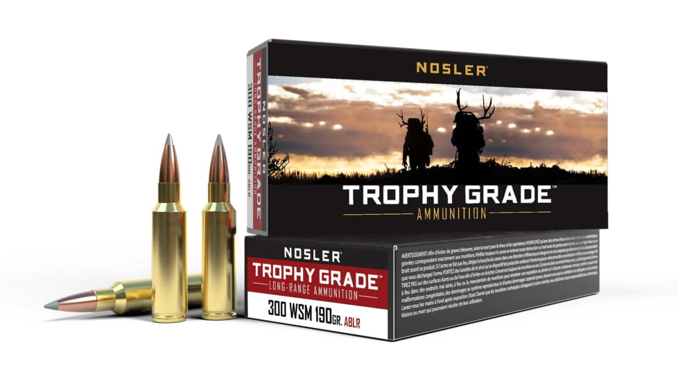 Nosler Trophy Grade .300 Winchester Short Magnum 190 Grain AccuBond Long Range Brass Cased Centerfire Rifle Ammo, 20 Rounds, 60106