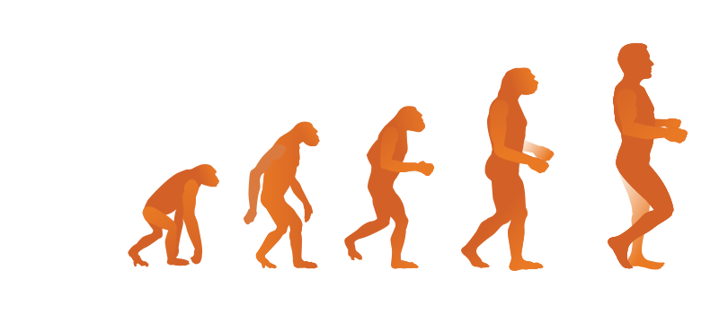 Evolution Steps