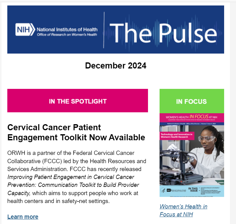 Graphic that shows The Pulse Newsletter for December 2024