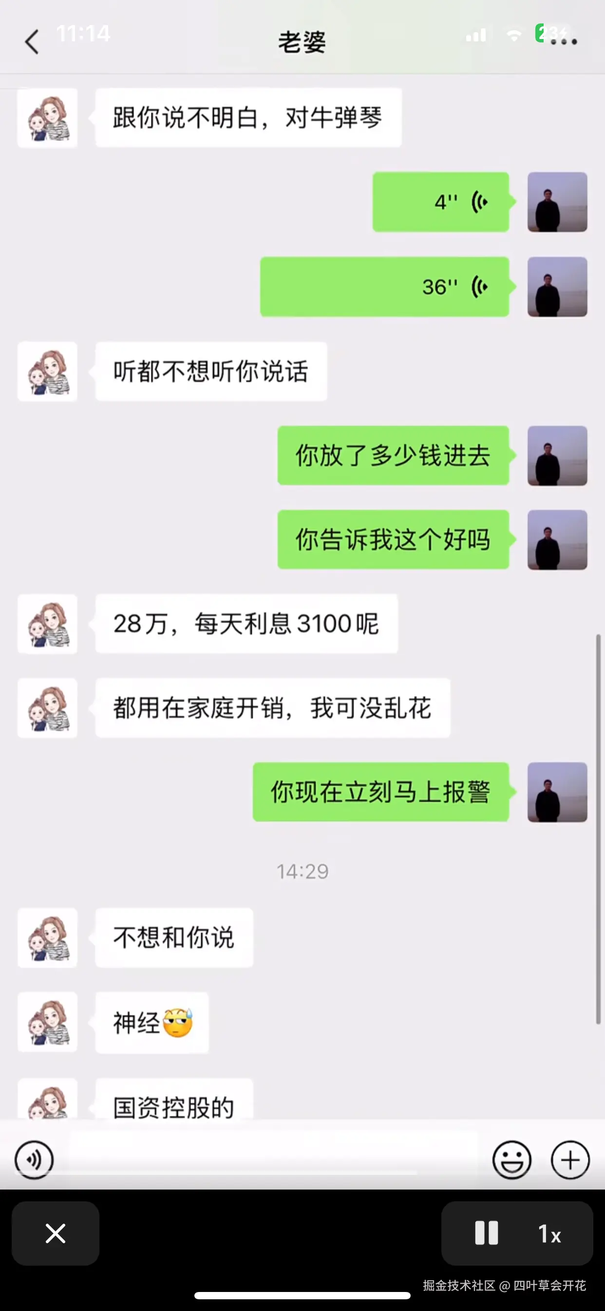 四叶草会开花于2024-12-28 09:21发布的图片