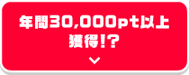 年間30,000pt以上獲得！？