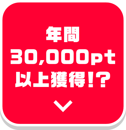 年間30,000pt以上獲得！？