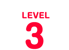 LEVEL3