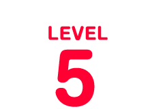 LEVEL5