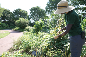 Gardening tips