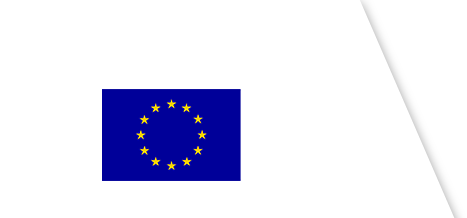 European Union Flag