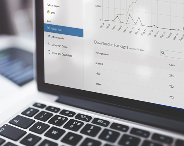 Closeup of a laptop monitor with Posit Package Manager UI