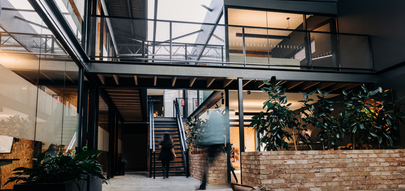 Inside of Procreate HQ. This modern office has meny open plan spaces, vegetation and rustic tones.