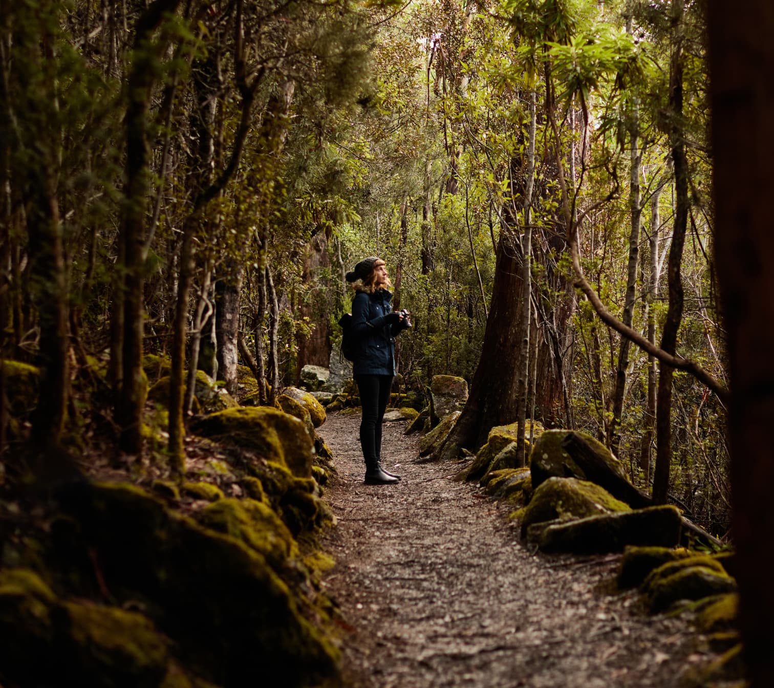 Young woman takes photographs on an afternoon, while on the trail of one of Tasmania's many temperate rainforest.