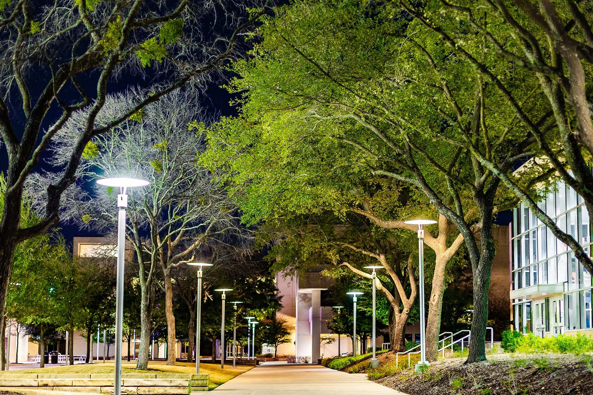 Lamps illuminate the campus at night