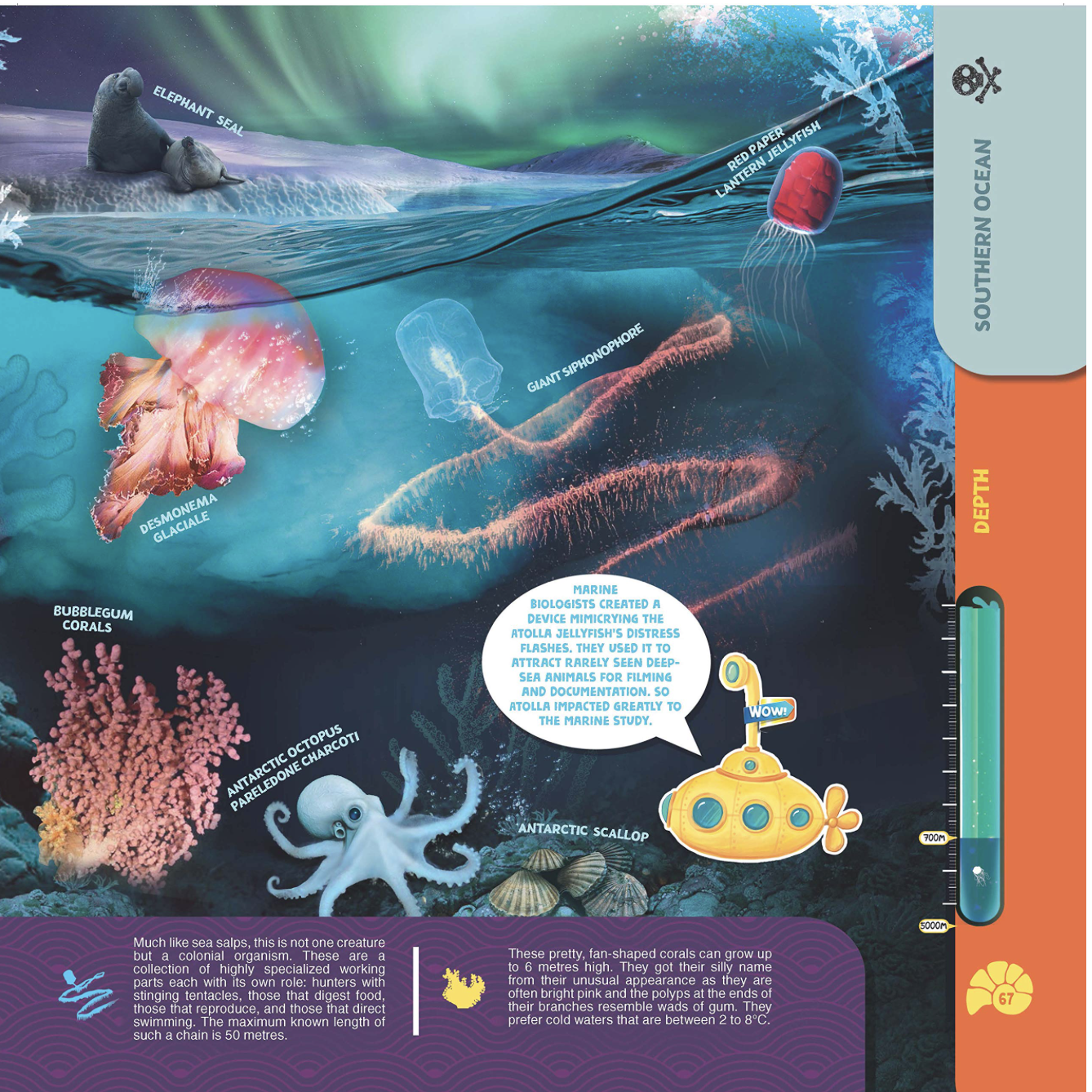 interactive books secrets of the oceans