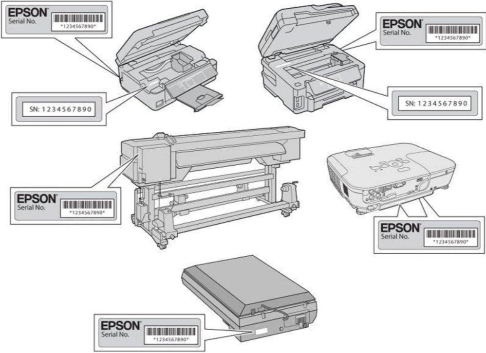 Epson Serial Number Diagram