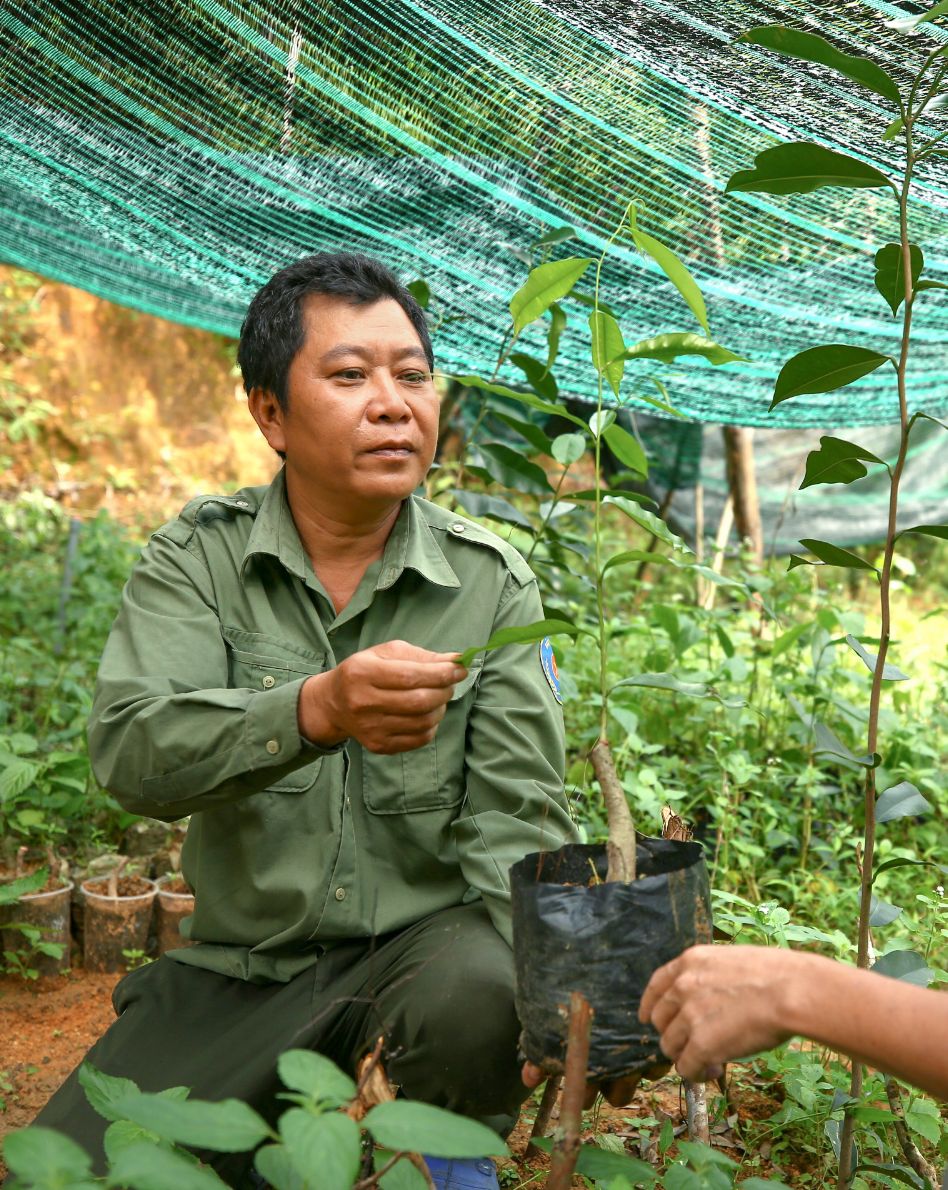 Photo: A middle-aged man holds a plant and examines its leaves. He is sitting beneath a net that is protecting the plants around him.