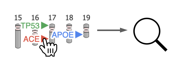 gene-hints