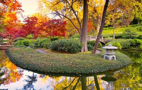 Japanese Garden