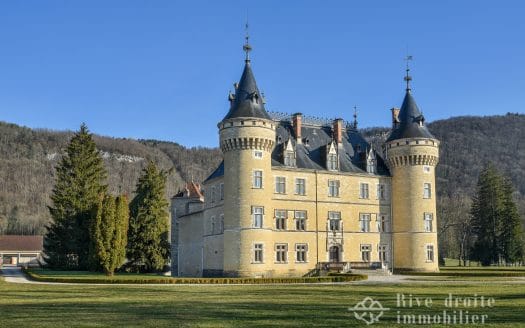 Magnifique domaine équestre à une heure de Genève - Une exclusivité Rive droite immobilier