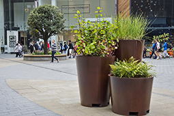 Use Urban Planters for all your workplace and office plant needs.