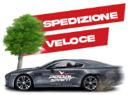  Spedizione rapida in 24/48H