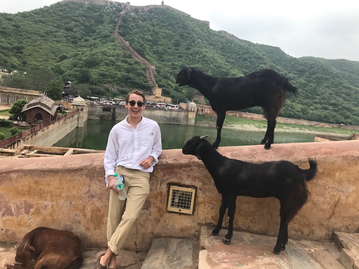 Henry Mihm (SFS'20) poses in Jaipur, India, with some local livestock.